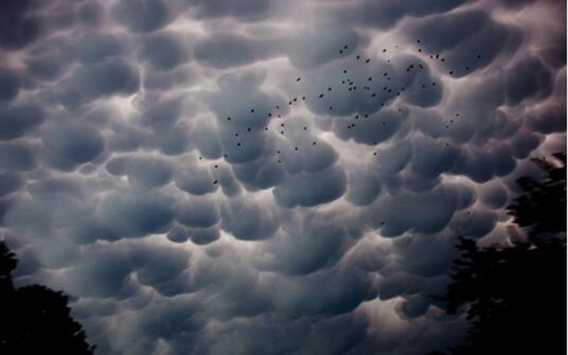 图片拍摄于美国得克萨斯州沃思堡.絮状高积云.图片为安徽城市风貌.