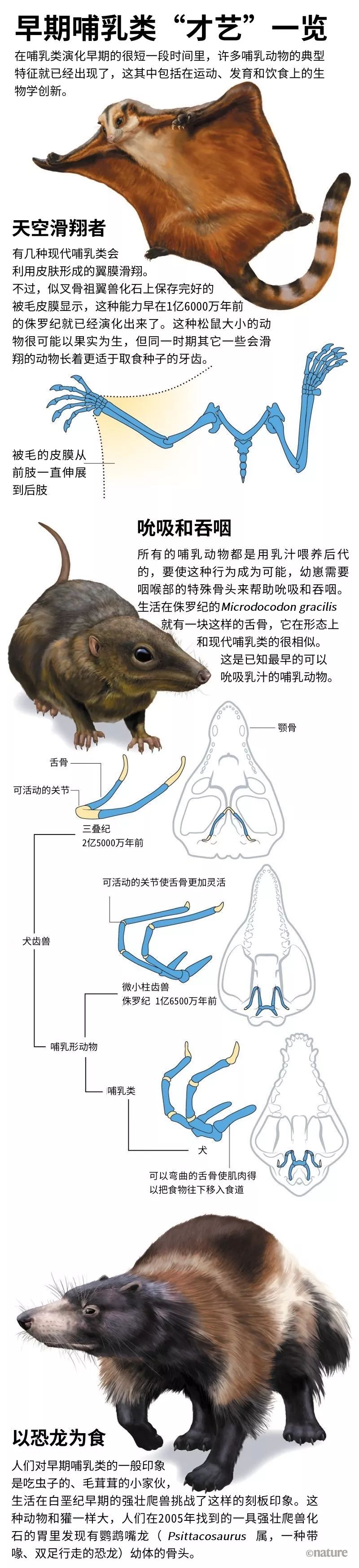 天津自然博物馆