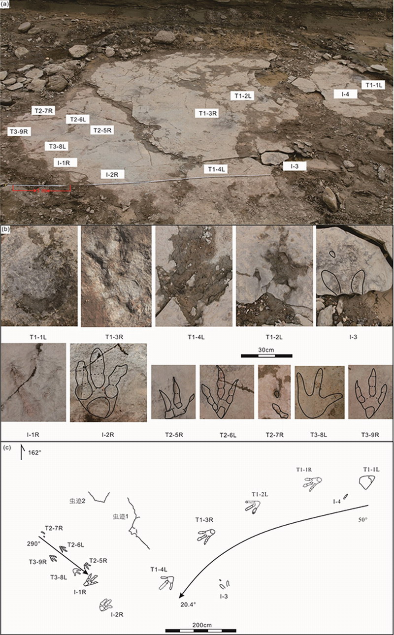 天津自然博物馆