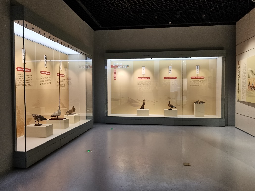 丝绸之路自然大观主题展览远赴浙江省建德市博物馆